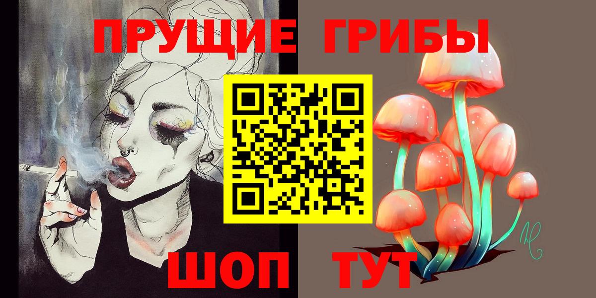Галлюциногенные грибы MAGIC MUSHROOMS  Вход с VPN  Сафоново 